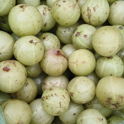Amla